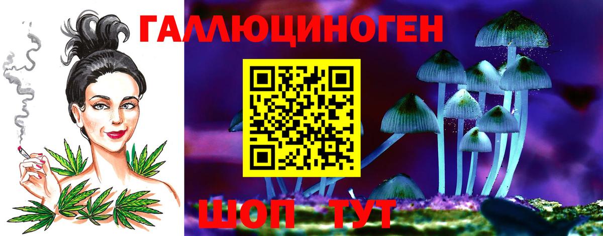 Карачаевск  Псилоцибиновые грибы Psilocybine cubensis  Галлюциногенные грибы GOLDEN TEACHER  Вход с VPN 